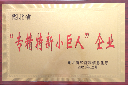 湖北省“專精特新小巨人”企業(yè)